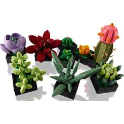 Конструктор LEGO Botanicals Суккуленты Фото 4
