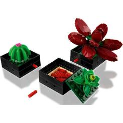 Конструктор LEGO Botanicals Суккуленты Фото 5
