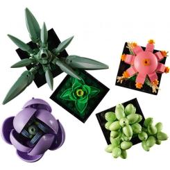 Конструктор LEGO Botanicals Суккуленты Фото 6