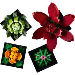 Конструктор LEGO Botanicals Суккуленты Фото 7