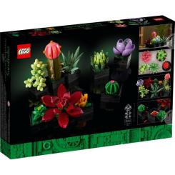 Конструктор LEGO Botanicals Суккуленты Фото 8