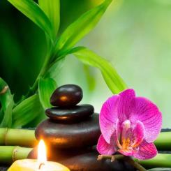 Обогреватель Trio Гармонія Фото 8