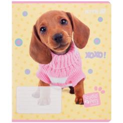 Тетрадь Kite Studio Pets, 12 листов, линия Фото 2