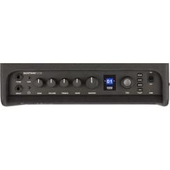 Комбоусилитель Fender Mustang LT25 Фото 4