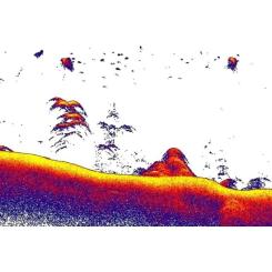 Эхолот Lowrance EAGLE-5 SPLITSHOT HD ROW Фото 8