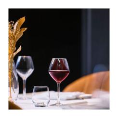 Бокал Chef & Sommelier серія "Cabernet Vins Jeunes" 470 мл Фото 3