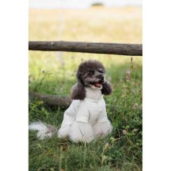 Футболка для животных Pet Fashion Ostap XS Фото 10