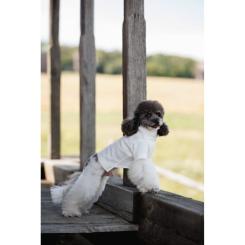 Футболка для животных Pet Fashion Ostap XS Фото 11