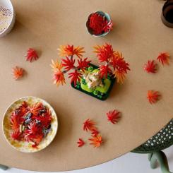 Конструктор LEGO Botanicals Бонсай з японського червоного клена Фото 8