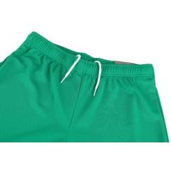 Шорты Puma teamRISE Short 704942-05 зелений L Фото 9