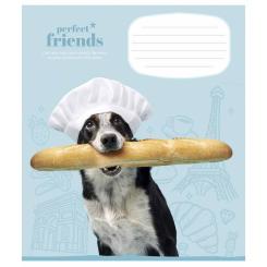 Тетрадь Школярик Perfect friends 12 листов клетка Фото