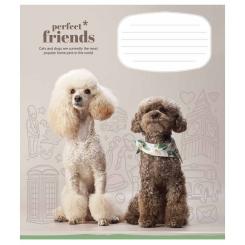 Тетрадь Школярик Perfect friends 12 листов клетка Фото 2
