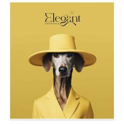 Тетрадь Школярик Elegant portrets 48 аркушів клітинка Фото 1
