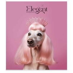 Тетрадь Школярик Elegant portrets 48 аркушів клітинка Фото 4