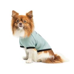 Футболка для животных Pet Fashion Oscar XS голубая Фото 2