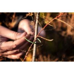 Стяжка Neo Tools 50шт, пластик, 4.8х160мм, зеленая Фото 1