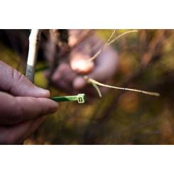 Стяжка Neo Tools 50шт, пластик, 4.8х160мм, зеленая Фото 2