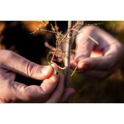 Стяжка Neo Tools 50шт, пластик, 4.8х160мм, зеленая Фото 3