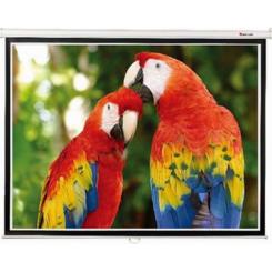 Проекционный экран Equipify SGM-4304 Фото 1