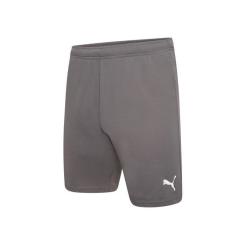 Шорты Puma teamRISE Short 704942-13 сірий XL Фото