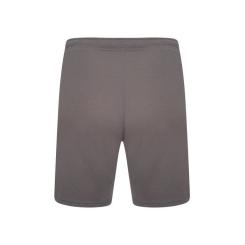 Шорты Puma teamRISE Short 704942-13 сірий XL Фото 4