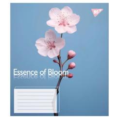 Тетрадь Yes Essence of Bloom А5 96 аркушів лінія Фото 2