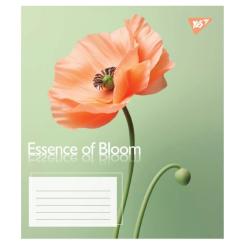 Тетрадь Yes Essence of Bloom А5 96 аркушів лінія Фото 3
