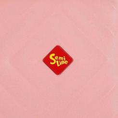 Чемодан Semi Line 20" (S) Rose (T5806-1) Фото 8