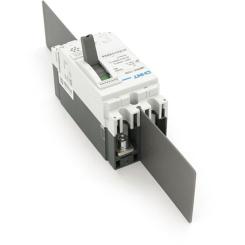 Автоматический выключатель CHINT NM8NDC-250B-DC500V-2P Фото 1