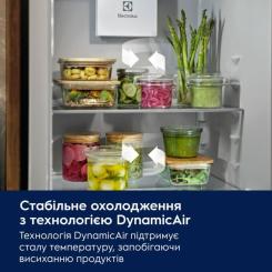 Холодильник Electrolux ERD6DE18S4 Фото 8