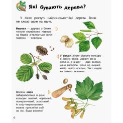 Книга Ранок Ліс. Енциклопедія дошкільника - Юлія Каспарова Фото 5