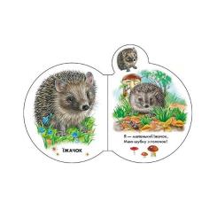 Книга Ранок Малята у лісі + Аудіо-бонус - Ірина Сонечко Фото 1