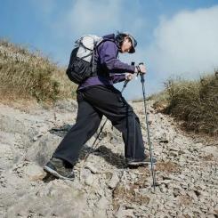 Треккинговые палки Naturehike CNK2450DS017, 120 см, чорна Фото 2