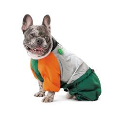 Дождевик для животных Pet Fashion Marlie М (такса) Фото 3