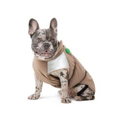 Жилет для животных Pet Fashion Chip S2 (такса) Фото 2