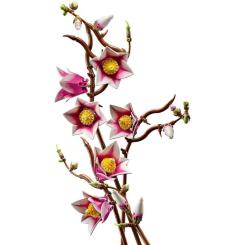 Конструктор LEGO Botanicals Magnolia Branches Фото 4