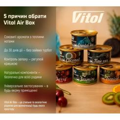 Ароматизатор для автомобиля VITOL Air Box Jasmine Фото 5