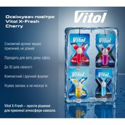 Ароматизатор для автомобиля VITOL X-Fresh Cherry Фото 4