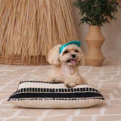 Кепка для животных Pet Fashion Topaz L Фото 5