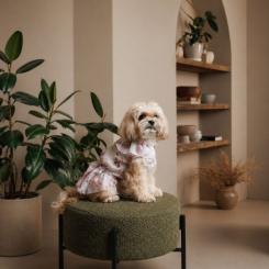 Платье для животных Pet Fashion Amelia XS Фото 5