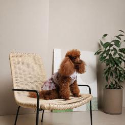 Платье для животных Pet Fashion Amelia XS Фото 6