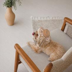 Кепка для животных Pet Fashion Print L Фото 4