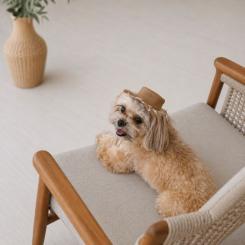 Кепка для животных Pet Fashion Print L Фото 5