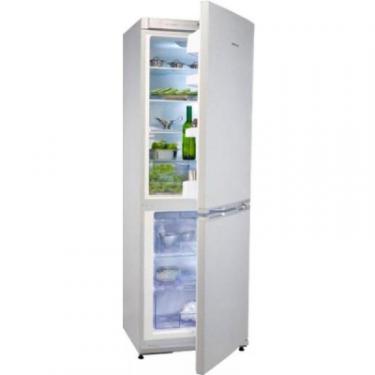 Холодильник Snaige RF36SM-S10021 Фото