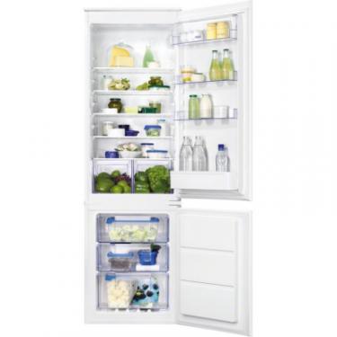 Холодильник Zanussi ZBB 928651 S Фото