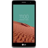 Мобильный телефон LG X155 (Max) White Фото
