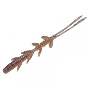 Силикон рыболовный Jackall Scissor Comb 2.5" Kawashima Shrimp Фото