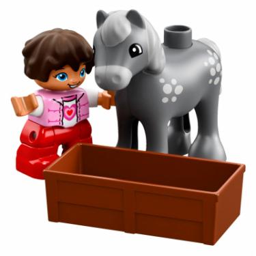 Конструктор LEGO Duplo Town Конюшня пони на ферме Фото 4