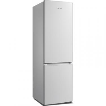 Холодильник Nord B 239 Фото