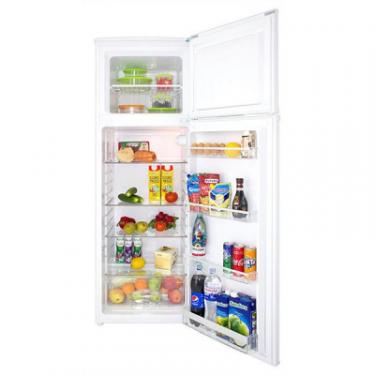 Холодильник PRIME Technics RTS1601M Фото 3